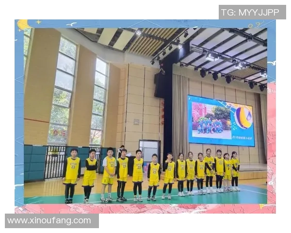 武汉排球队在邀请赛中的状态表现分析与未来展望